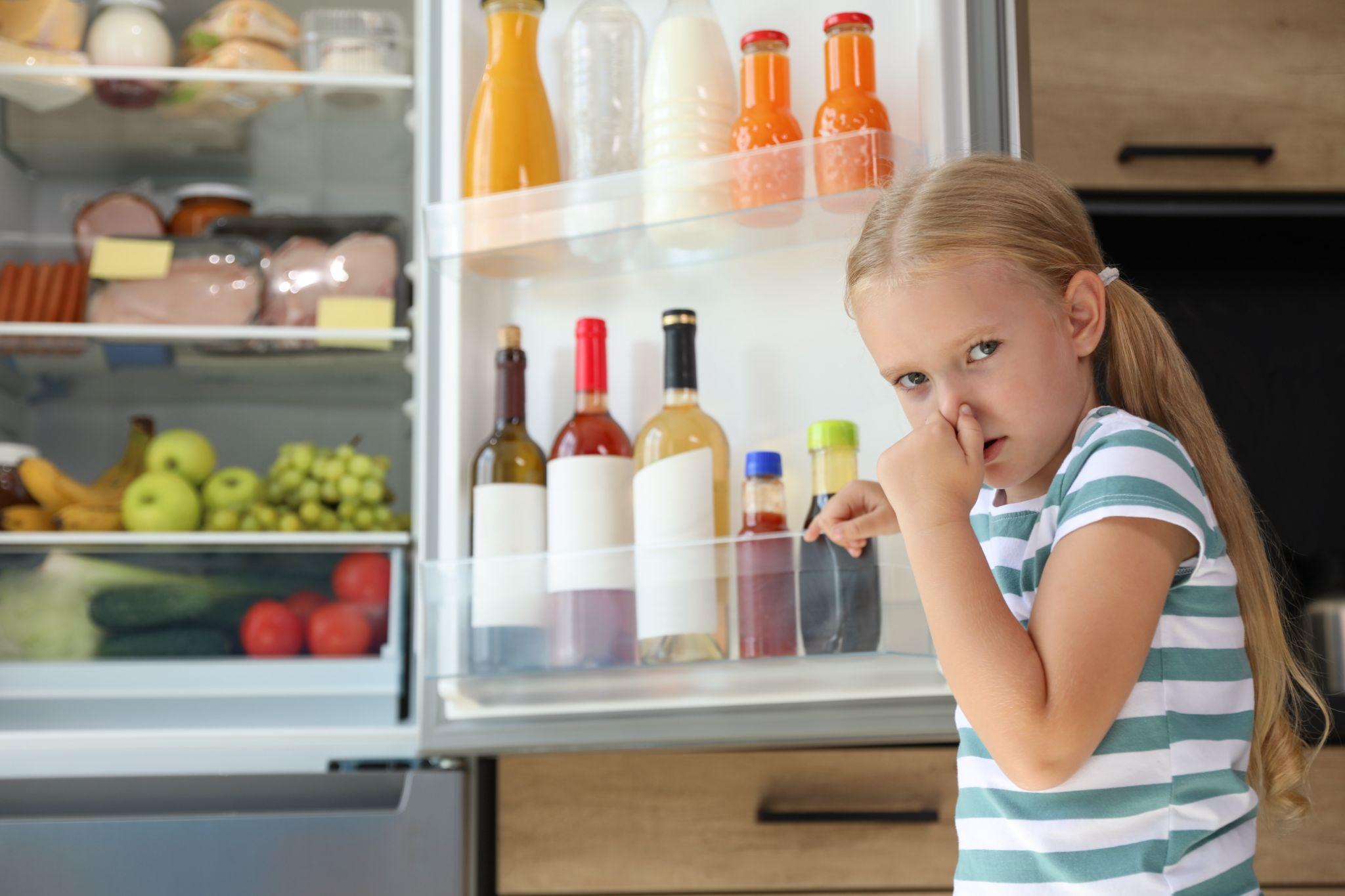 The Science Behind Fridge Odours: What Causes Them and How to Prevent Them