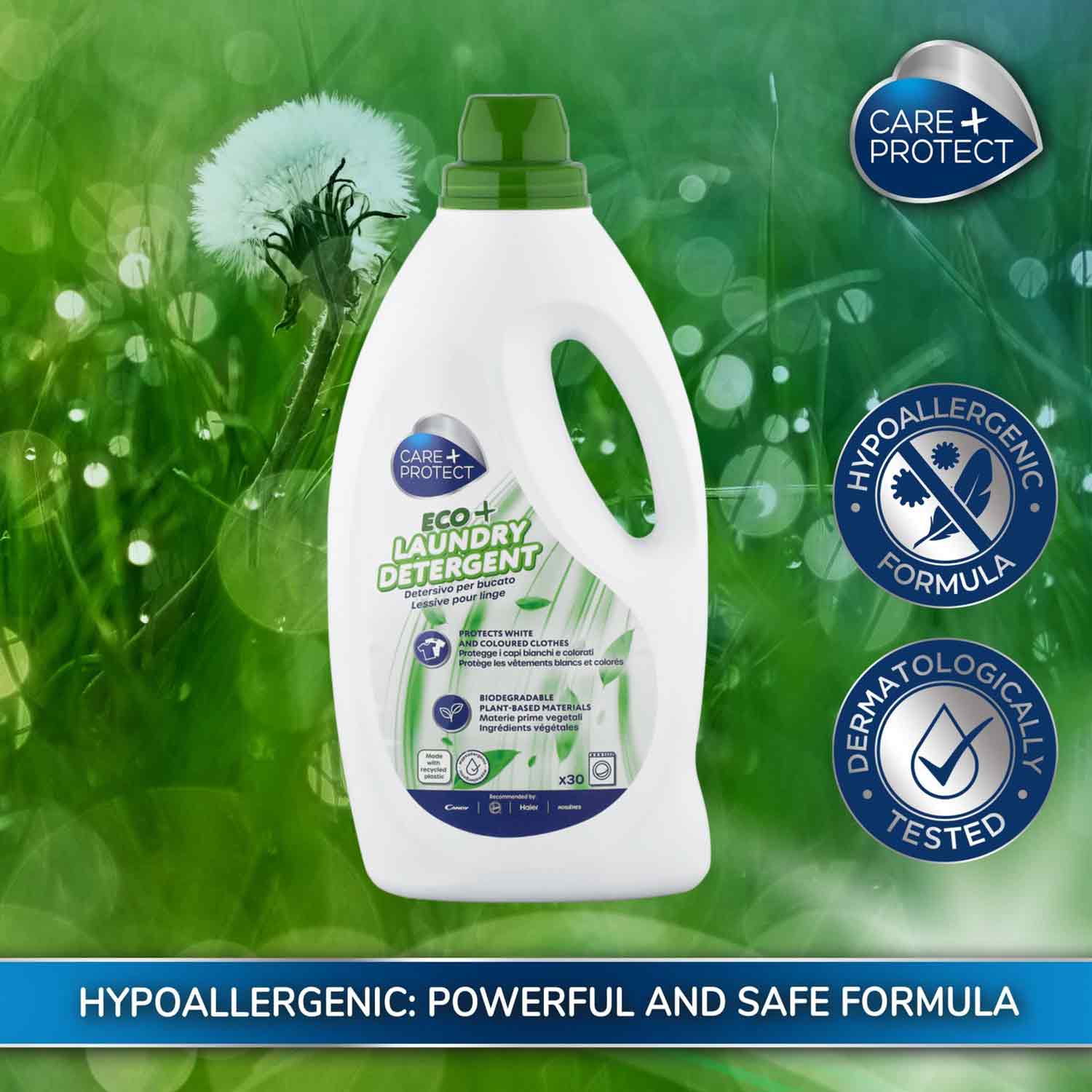 Bottle of Care+Protect Eco+ Laundry Detergent positioned in a grassy, dandelion-adorned background. Labels indicate hypoallergenic formula, dermatologist-tested, protects white and coloured clothes, biodegradable plant-based materials. Text: "HYPOALLERGENIC: POWERFUL AND SAFE FORMULA."