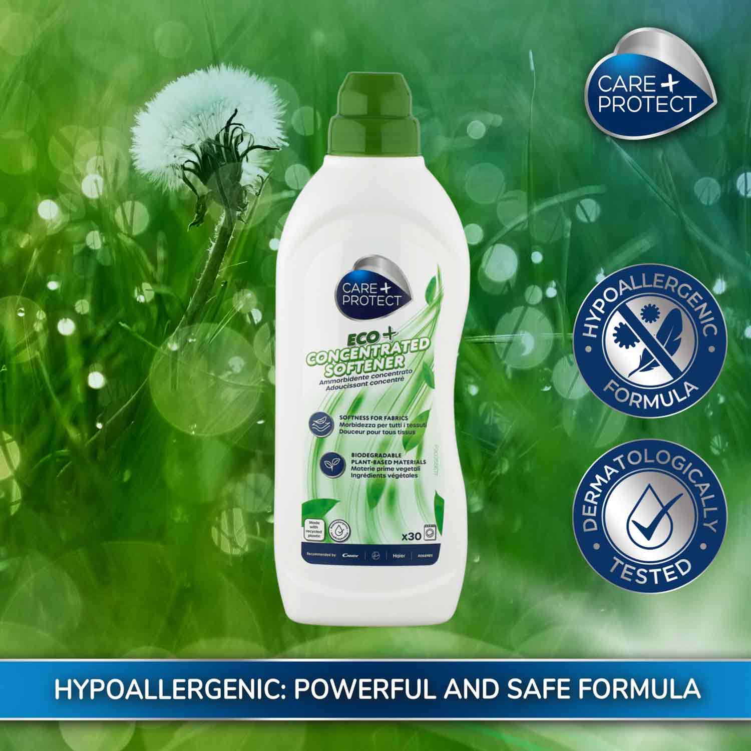 Bottle of Care+ Protect Eco+ Concentrated Softener displayed upright against a grassy background with a dandelion. Featured text: "HYPOALLERGENIC: POWERFUL AND SAFE FORMULA," "Hypoallergenic Formula," "Dermatologically Tested," "Softness for Fabrics," "Biodegradable Plant-Based Materials."