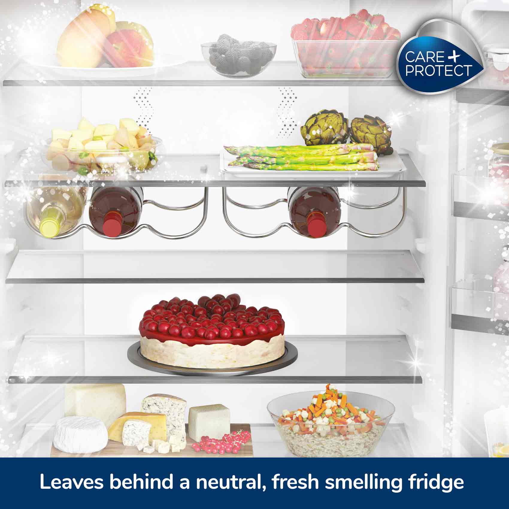 Universal fridge odour remover